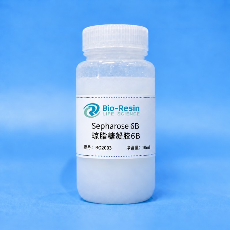 琼脂糖凝胶6B