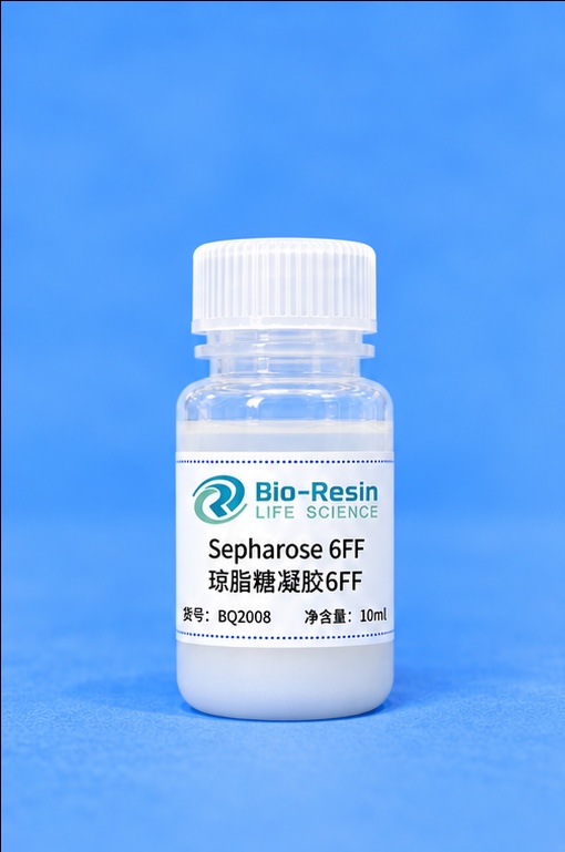 琼脂糖凝胶6FF