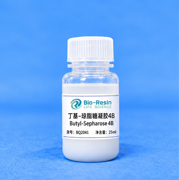 丁基-琼脂糖凝胶4B