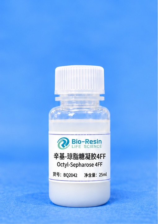 辛基-琼脂糖凝胶4FF