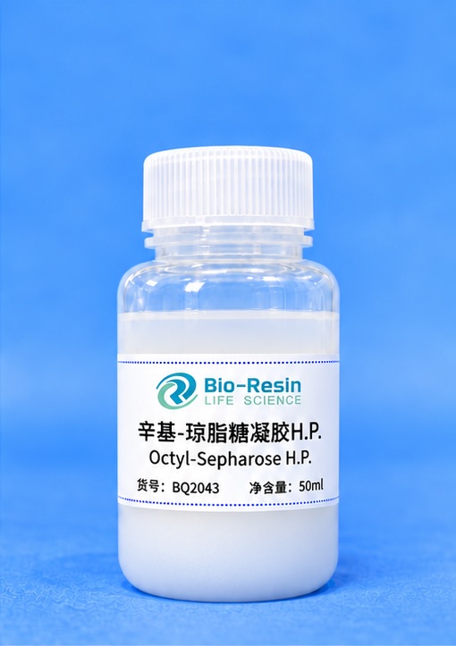 辛基-琼脂糖凝胶H.P.